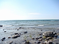 Western Michigan [2010] 805